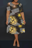Dark Brown Casual Plaid Chain Print Leopard Contrast Round Neck Short Sleeve Loose Plus Size A-line Midi Dresses