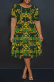 Dark Brown Casual Plaid Chain Print Leopard Contrast Round Neck Short Sleeve Loose Plus Size A-line Midi Dresses