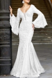 Elegant Formal Solid Embroidered V Neck Evening Dresses