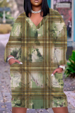 Multicolor Graphics Print Deep V Neck Long Sleeve Pocket Casual Outing Straight Loose Fit Tunic Plus Size Midi Dress