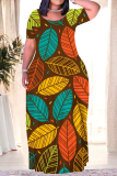 Color Leaves Feather Print Short Sleeve O Neck Floor Length Loose Plus Size Vacation Baggy Maxi T Shirt Dress