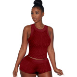 Purple Sexy Solid Patchwork O Neck Sleeveless Two Pieces