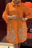 Orange Casual Flower Print Turndown Collar Lace Flare Sleeve Buttons Formal Office Lady A Line Plus Size Dresses