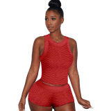 Purple Sexy Solid Patchwork O Neck Sleeveless Two Pieces