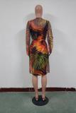Multi-color Sexy Fashion Floral asymmetrical Print Two Piece Suits Regular Long Sleeve Two-Piece Dres