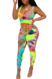 Orange Fashion Casual Print zipper Sleeveless O Neck Jumpsuits