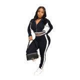 Blue Casual Solid Patchwork Turndown Collar Long Sleeve Two Pieces