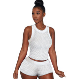 Purple Sexy Solid Patchwork O Neck Sleeveless Two Pieces