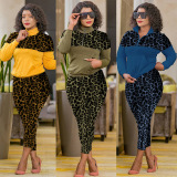 Yellow Fashion Casual Patchwork Print Leopard Zipper Collar Long Sleeve Two Pieces