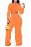 Blue Casual Solid Patchwork O Neck Plus Size Two Pieces