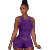 Purple Sexy Solid Patchwork O Neck Sleeveless Two Pieces