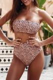 Fluorescent green Nylon Patchwork Print Two Piece Suits adult Fashion Sexy Bikinis Set