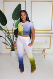 Light Purple Casual Gradient Regular Short Sleeve Two Pieces