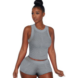 Purple Sexy Solid Patchwork O Neck Sleeveless Two Pieces