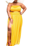 Black Sexy Vacation Print Polka Dot Patchwork Strapless Beach Plus Size Two Pieces