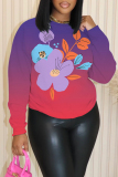 Blue Graphics Print O Neck Long Sleeve Casual Fall Winter Sweatshirt