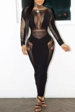 Black See-Through O Neck Long Sleeve Hollow Out Night Club Bodycon Maxi Dresses