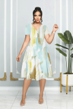 Grey Ombre Print Patchwork V Neck Short Sleeve Vacation Casual Pleated Midi Flowy Dresses