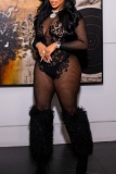 Black O Neck Long Sleeve See-Through Mesh Skinny Jumpsuits
