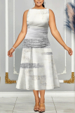Gray Blue Floral Print Sleeveless O Neck Casual Vacation Pleated Midi Tank Dresses
