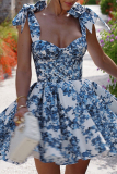 Blue Floral Print Sleeveless V Neck Lace Up Vacation A Line Pleated Mini Slip Dresses