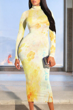 White Floral Print Half A Turtleneck Long Sleeve Vacation Bodycon Maxi Dresses