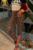 Grey Casual Leopard Print Sequins Mid Waist Bodycorn Fifth Pants
