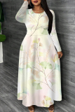 Pink Graphic Print O Neck Long Sleeve A Line Casual Outings Plus Size Spring Maxi Dresses