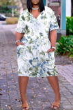 Light Green Casual Colorblock Print V Neck Short Sleeve Pocket Plus Size Vacation Straight Midi Dress