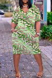 Light Green Casual Colorblock Print V Neck Short Sleeve Pocket Plus Size Vacation Straight Midi Dress