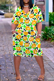 Multicolor Floral Print V Neck Short Sleeve with Pocket Loose Plus Size Casual Outing Midi T-shirt Dress