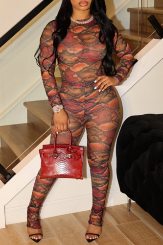 Multicolor Gauze Graphic Print O Neck Long Sleeve Tops and Pencil Pants Bodycon Two Piece Trouser Sets