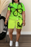 Light Green Butterfly Graphic Print O Neck Short Sleeve T Shirt and Shorts Casual Outings Plus Size Two Piece Short Set
