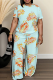 Light Blue Floral Butterfly Print O Neck Short Sleeve T Shirt and Wide Leg Pant Casual Outings Plus Size Two Piece Pant Set