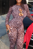 Leopard Print O Neck Long Sleeve Hollow Out Casual Outings Skinny Jumpsuit