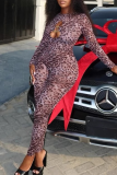 Leopard Print O Neck Long Sleeve Hollow Out Casual Outings Skinny Jumpsuit