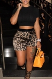Casual Daily Leopard Print Patchwork Regular High Waist Conventional Full Print Shorts