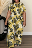 Casual Daily Print Basic O Neck Short Sleeve Two Pieces