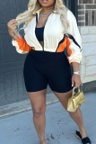Casual Zipper Zipper Collar Long Sleeve Two Pieces