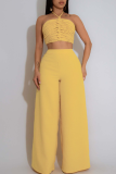 Casual Solid Color Draw String Backless Halter Sleeveless Two Pieces