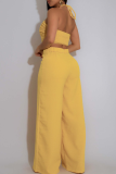 Casual Solid Color Draw String Backless Halter Sleeveless Two Pieces