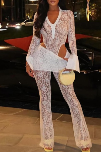 Sexy Solid Color Lace See-Through V Neck Long Sleeve Two Pieces