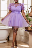 Elegant Solid Color Mesh Butterfly O Neck Evening Dresses