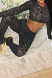 Sexy Solid Color Lace O Neck Long Sleeve Two Pieces