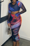 Elegant Print O Neck Long Sleeve Two Pieces