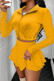 Sexy Solid Color Zipper Zipper Collar Long Sleeve Two Pieces