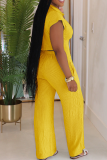 Casual Solid Color Buckle Turndown Collar Regular Jumpsuits