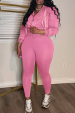 Casual Solid Color Zipper Hooded Long Sleeve Two Pieces