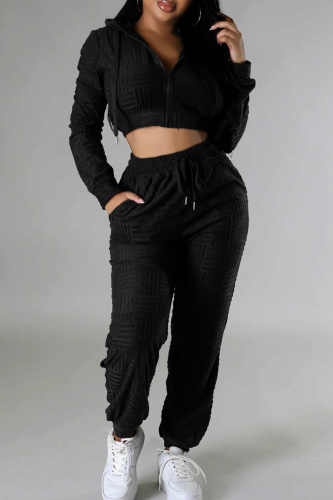 Casual Solid Color Zipper Hooded Long Sleeve Two Pieces