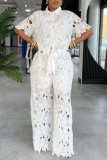 Daily Elegant Solid Color Lace Turndown Collar Short Sleeve Two Pieces